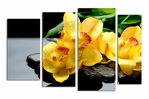 Модульная картина  Орхидея желтый фон